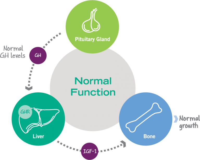 Growth function